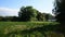 Thatched Irish Country House & Field