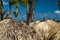 A thatched palm frond palapa on a beautiful beach