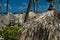 A thatched palm frond palapa umbrella on a beautiful beach