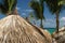 A thatched palm frond umbrella on a beach