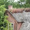 Thatched roof with blooming houseleek, Sempervivum tectorum