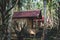 The Thatched roof hut in the jungle