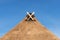 Thatched Roof with modern Gable Decoration in Lower Saxony