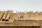 Thatched Roof with Straw and tools