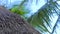 Thatched roof summer bungalow on sea beach and green palm trees background. Roof summer bungalow and green branches palm