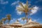 Thatched sunshades and palm trees