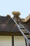 A thatcher with a bundle of straw on his back going up a ladder to a thatched roof on a half timber house to repair