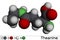 Theanine, theanin molecule. It is neuroprotective agent, plant metabolite, is found in green tea. Molecular model. 3D rendering