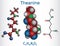 Theanine, theanin molecule. It is neuroprotective agent, plant metabolite, is found in green tea. Structural chemical formula,