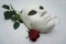 Theater or romance concept. Closeup of white classical theatrical mask and red rose as a symbol of sexual freedom