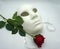 Theater or romance concept. Closeup of white classical theatrical mask and red rose as a symbol of sexual freedom