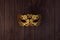 Theatre festival background  - golden glittering ornate venetian mask on dark wood board, top view.