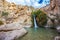 Thel falls among stones of the dried-up desert