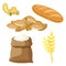 Thematic set of food products from wheat and flour.