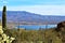 Theodore Roosevelt Lake, Gila County, Arizona