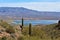 Theodore Roosevelt Lake, Gila County, Arizona