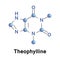 Theophylline methylxanthine drug