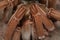 Theraphosa stirmi spider close up