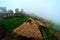There are Akha homestays located on a hillside covered and foggy background at Doi Sa Ngo ,Chiang Rai , Thailand
