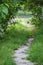 There is a bamboo basket in front of the green path.