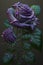 there is a bunch of roses which are light purple generative AI