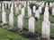 There are graves of Polish soldiers airmen in Newark on Trent