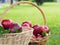 There are many red apples in the basket. Put on the grass