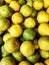 There are many yellow and green ripe seasonal lemons together. This fruit is very beneficial for health