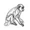 There is a monkey sitting on a white background, represented by a simple depiction.