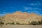 there are palm trees standing in the foreground with a desert landscape in the background