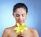 There is perfection in her beauty. Studio shot of a beautiful young woman posing with a flower against a blue background