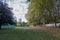 There is a quiet bench under the tall green tree Royal Forest Park in a beautiful weather