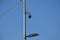 There is a row of halogens on the pole above the sports ground for the night use of the sports stadium. a rotating panoramic camer