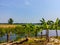 There are some banana trees and some wood next to the water-filled grain fields