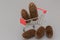 There are two fir cones on a small cart from a supermarket, three more nearby. Concept - purchase, delivery, online purchase,