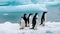 There were six Adelie penguins standing on the snow and ice at the beach. The color of the sea is light blue.