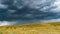 Thereal rain is pouring down. Heavy rain over a field in the countryside. Dark blue clouds over a yellow field with mown straw.