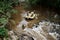 Theres a waterfall on the way. High angle shot of a group of determined young men on a rubber boat busy paddling on