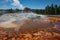 Thermal Geyser cone and Hot Spring with steam rising.