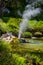 Thermal Geyser at Waimangu Volcanic Valley in Rotorua, North Island, New Zealand