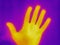 A thermal image of a hand captured with infrared thermal camera