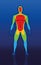 Thermal Image Male Body Front View