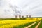 Thermal power plant with rapeseed field