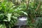 Thermal river in the natural reserve of Termas de Tabacon  in Costa Rica.