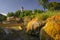 Thermal springs at Sklene Teplice