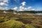 Thermal vapor along the Tongariro Alpine trail Crossing, New Zealand