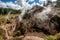 Thermal vapor along the Tongariro Alpine trail Crossing, New Zealand