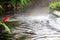 Thermal-water pools and non-pumped free-flowing hot spring rivers in Arenal