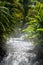 Thermal-water pools and non-pumped free-flowing hot spring rivers in Arenal