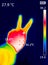 thermographic image of a person`s hand showing different temperatures in different colors, from blue indicating cold to red